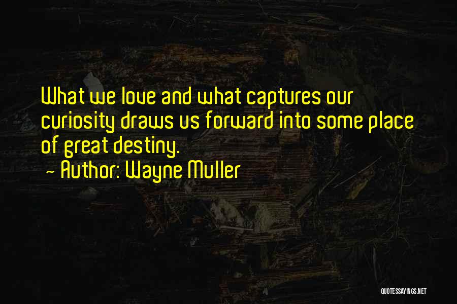 Wayne Muller Quotes 372652