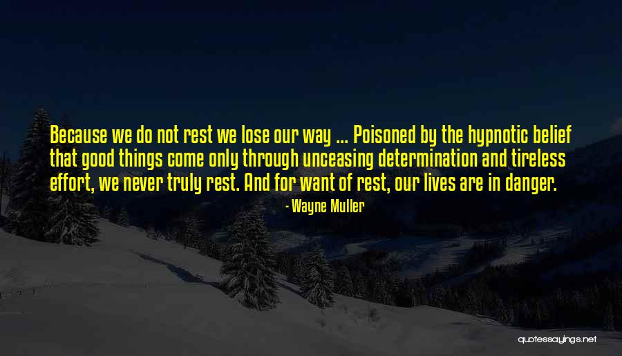 Wayne Muller Quotes 541288