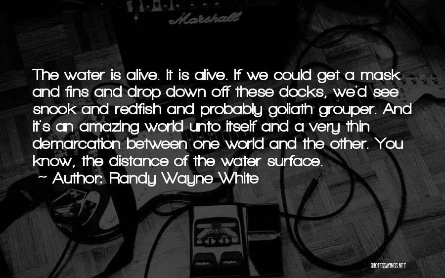 Wayne Quotes By Randy Wayne White