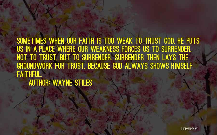 Wayne Stiles Quotes 1377974