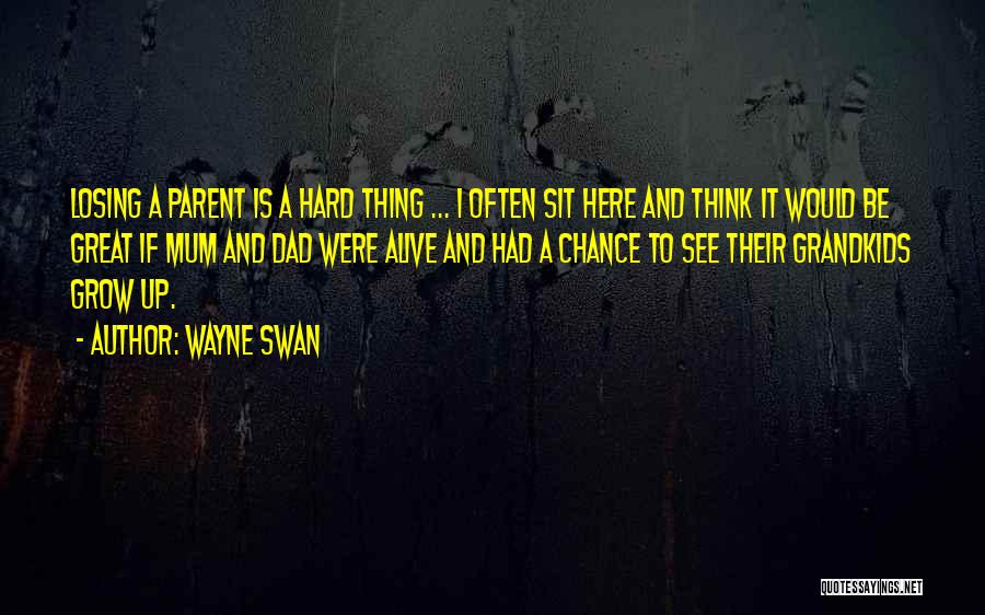 Wayne Swan Quotes 513035