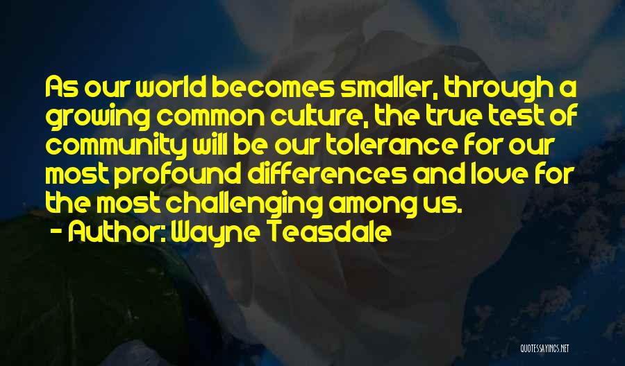 Wayne Teasdale Quotes 2152724