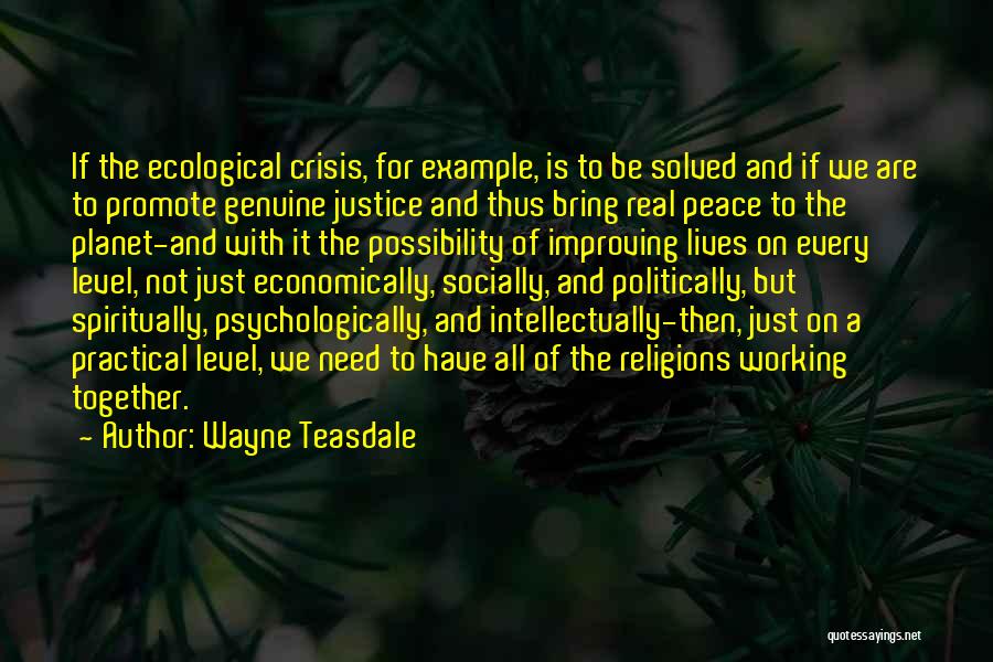 Wayne Teasdale Quotes 893598