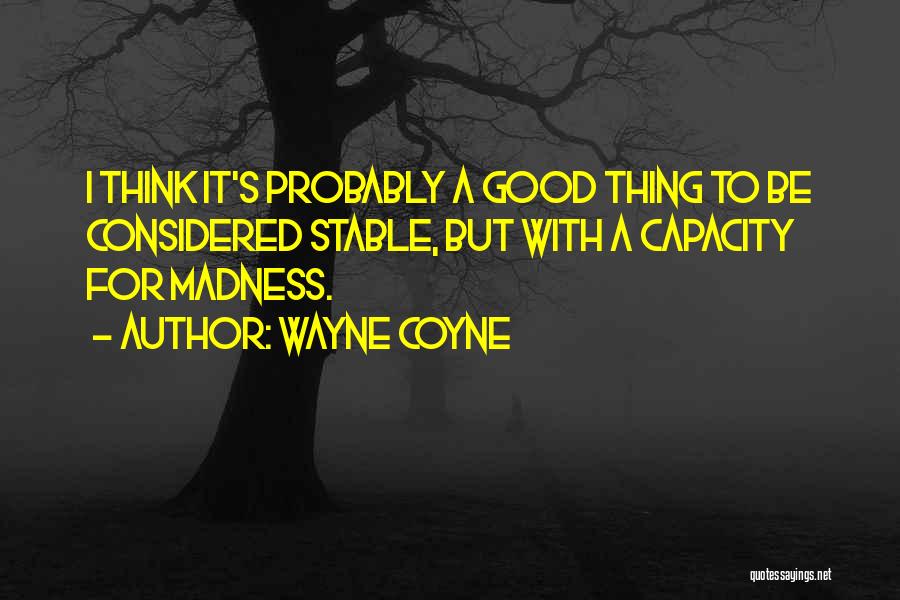 Wayne's Quotes By Wayne Coyne