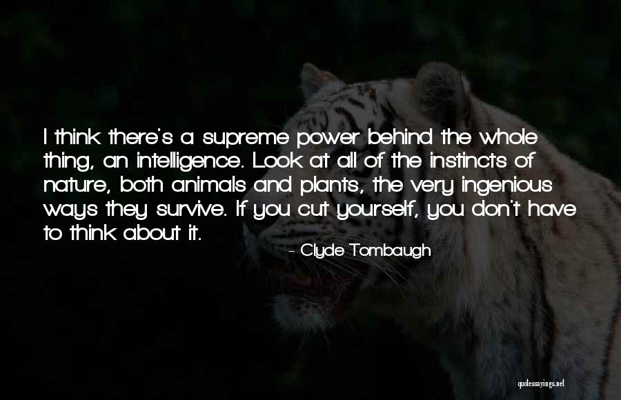 Ways That Plants Quotes By Clyde Tombaugh Ways That Plants Quotes By Clyde Tombaugh