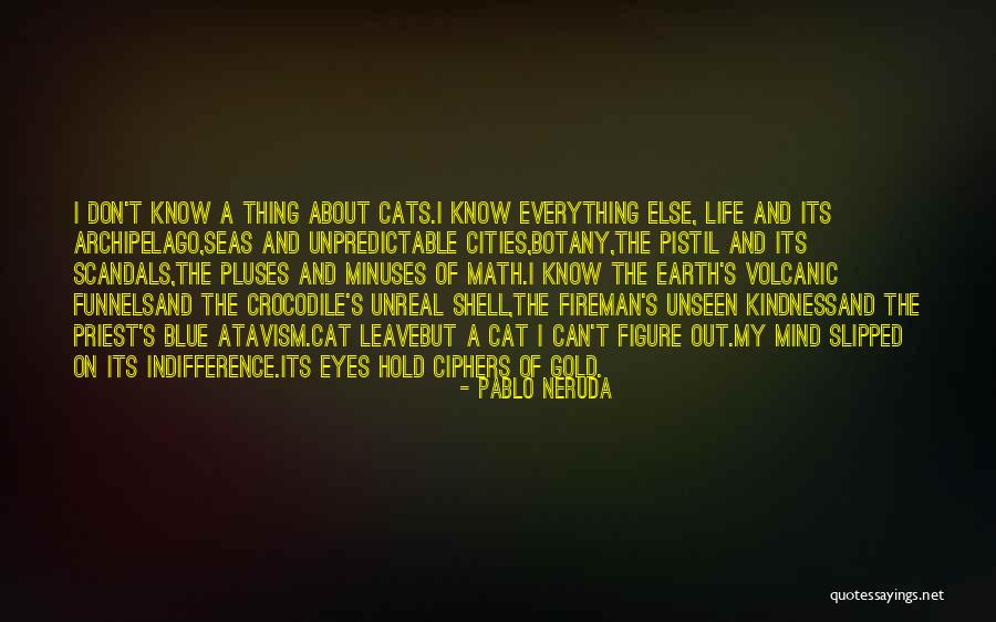 Waywards Baltimore Quotes By Pablo Neruda Waywards Baltimore Quotes By Pablo Neruda