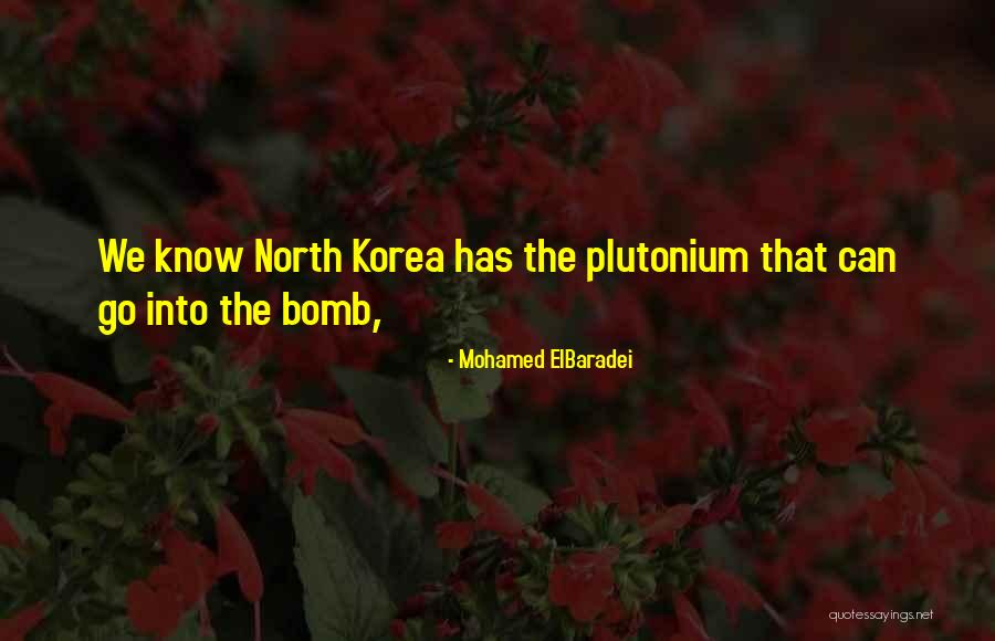Wbrew Regulom Quotes By Mohamed ElBaradei