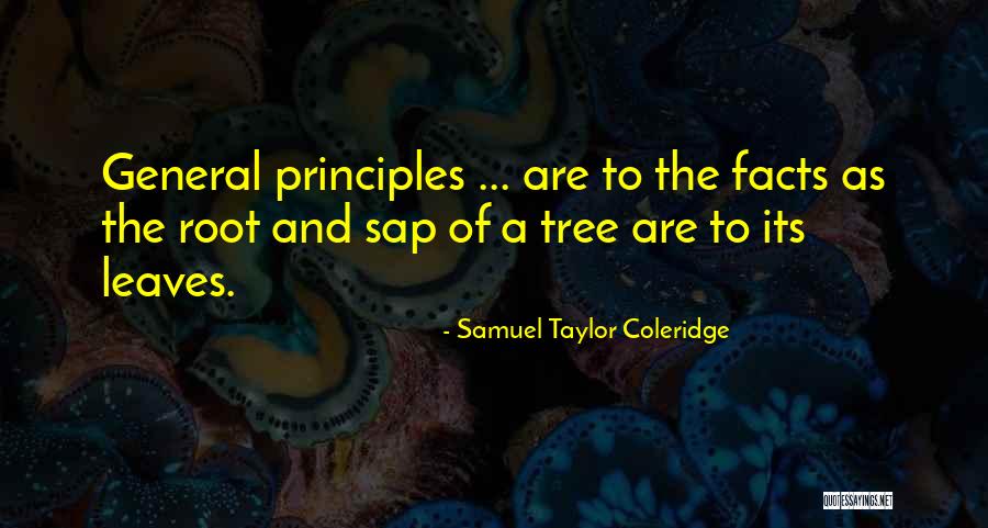 Wcco Quotes By Samuel Taylor Coleridge Wcco Quotes By Samuel Taylor Coleridge
