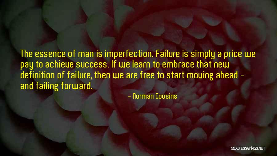 We Achieve Success Quotes By Norman Cousins