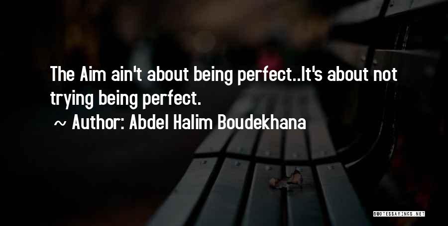 We Ain't Perfect Quotes By Abdel Halim Boudekhana