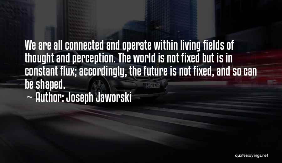 We All Are Connected Quotes By Joseph Jaworski