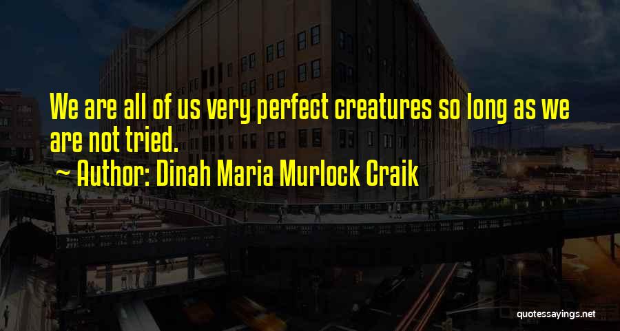 We All Are Not Perfect Quotes By Dinah Maria Murlock Craik