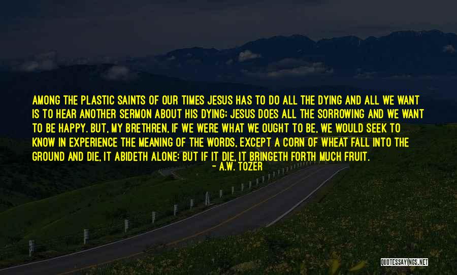 We All Die Alone Quotes By A.W. Tozer We All Die Alone Quotes By A.W. Tozer