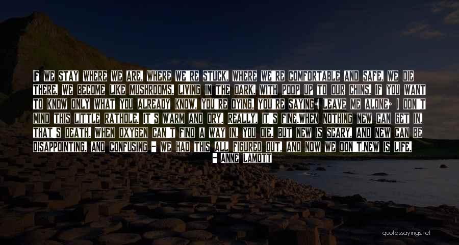 We All Die Alone Quotes By Anne Lamott We All Die Alone Quotes By Anne Lamott