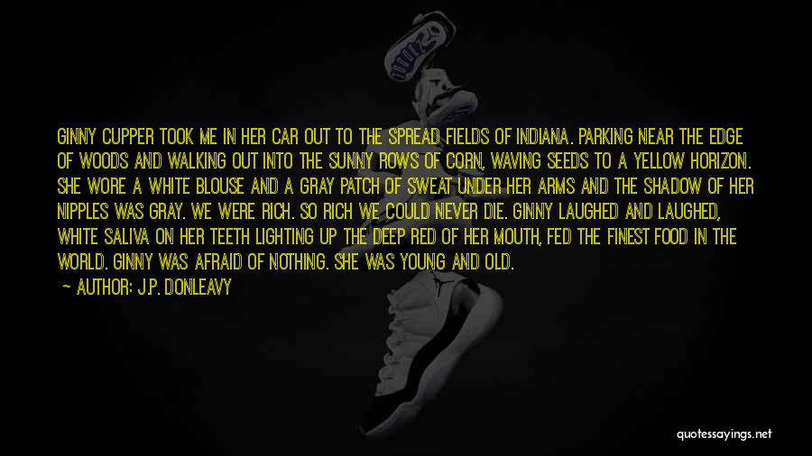 We All Die Young Quotes By J.P. Donleavy