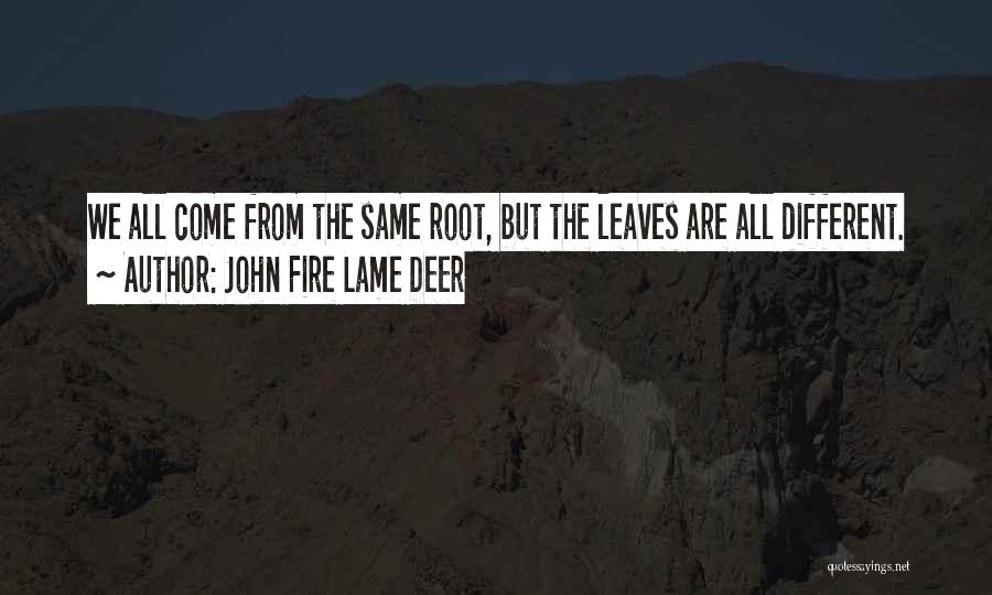 We All Different But Same Quotes By John Fire Lame Deer