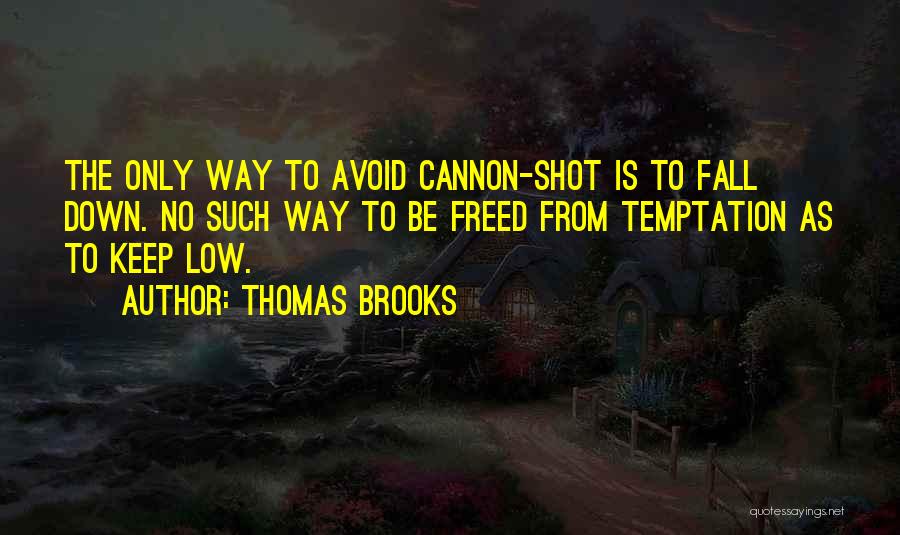 We All Fall Down But We Get Up Quotes By Thomas Brooks