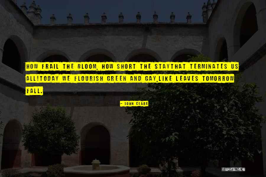 We All Fall Short Quotes By John Clare We All Fall Short Quotes By John Clare