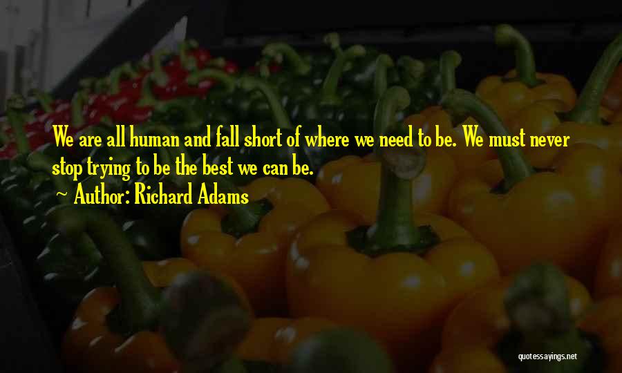 We All Fall Short Quotes By Richard Adams