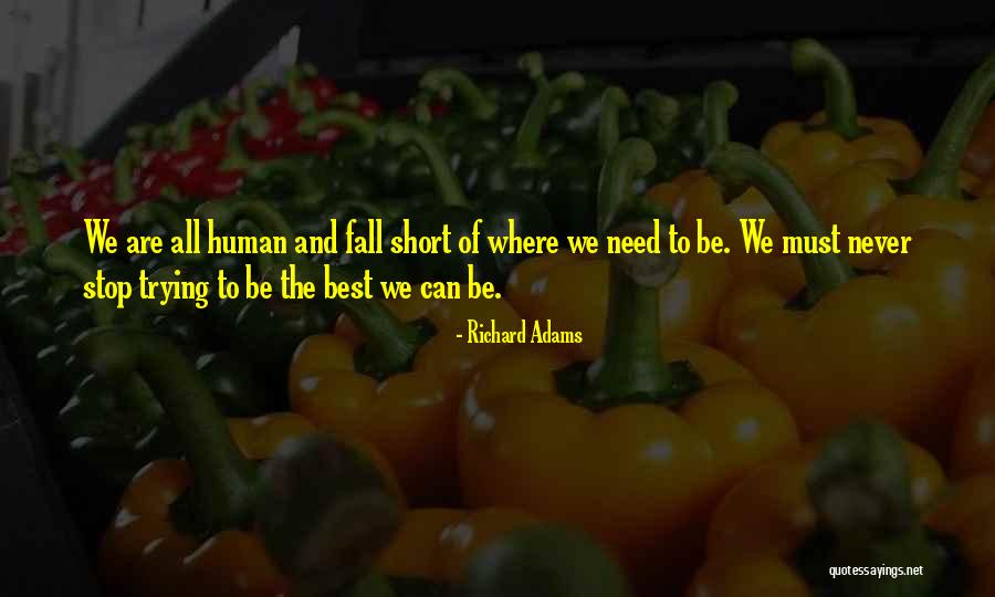 We All Fall Short Quotes By Richard Adams