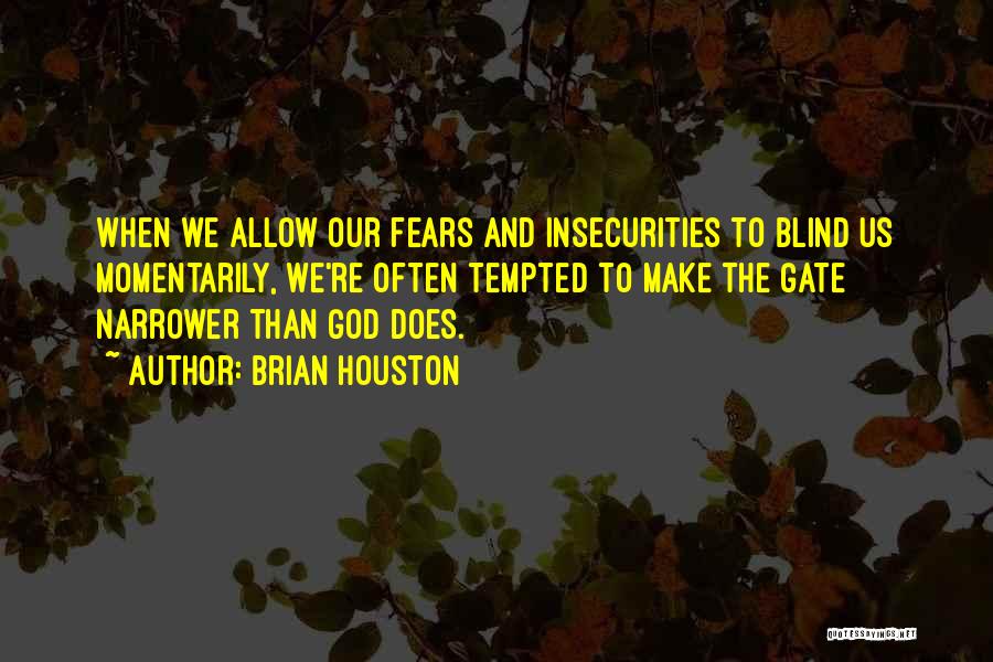 We All Have Insecurities Quotes By Brian Houston