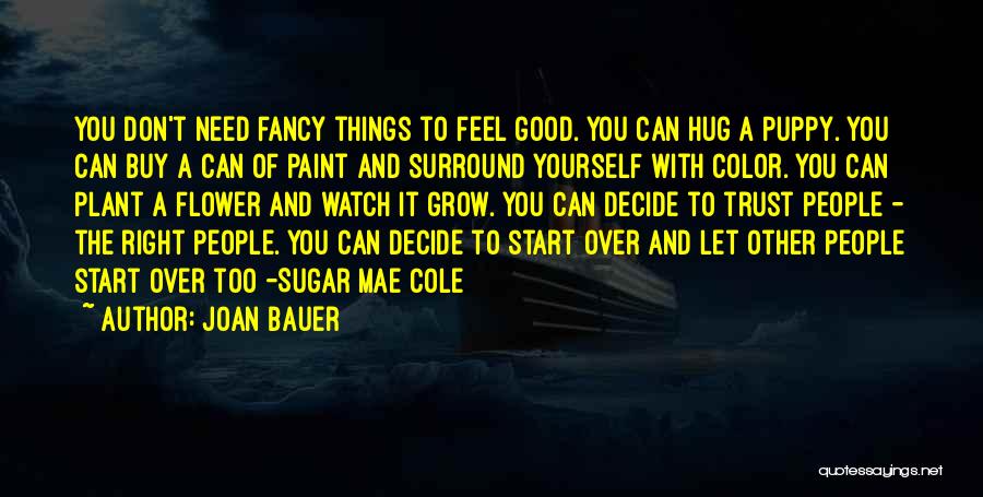 We All Need A Hug Quotes By Joan Bauer