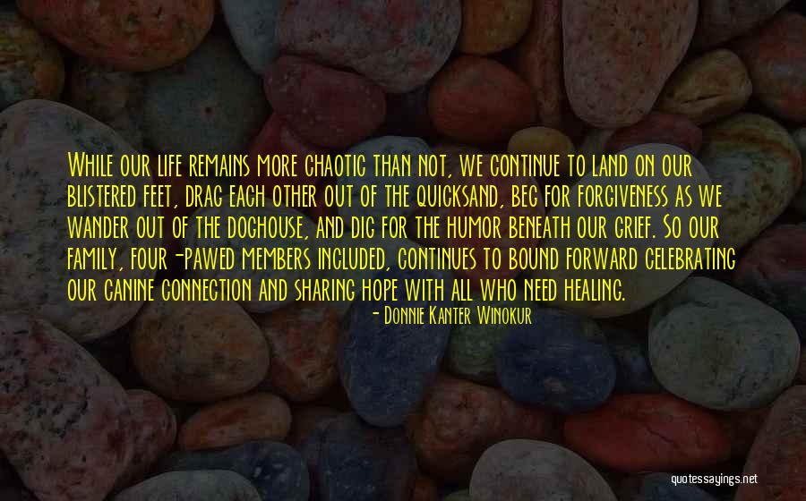 We All Need Hope Quotes By Donnie Kanter Winokur We All Need Hope Quotes By Donnie Kanter Winokur
