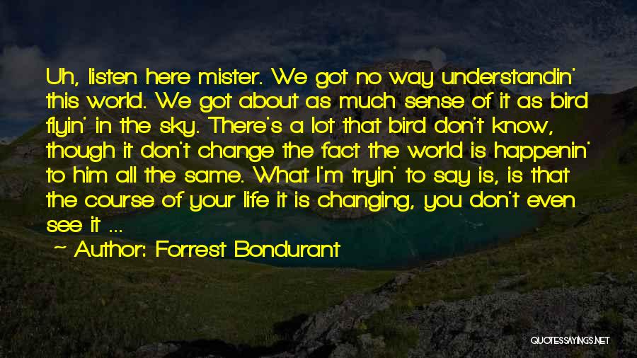 We All See The Same Sky Quotes By Forrest Bondurant