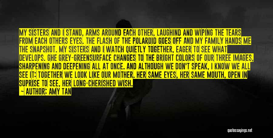 We All Stand Together Quotes By Amy Tan