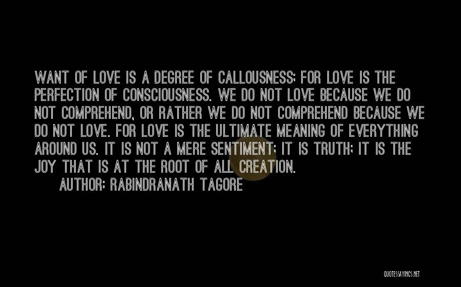 We All Want Love Quotes By Rabindranath Tagore