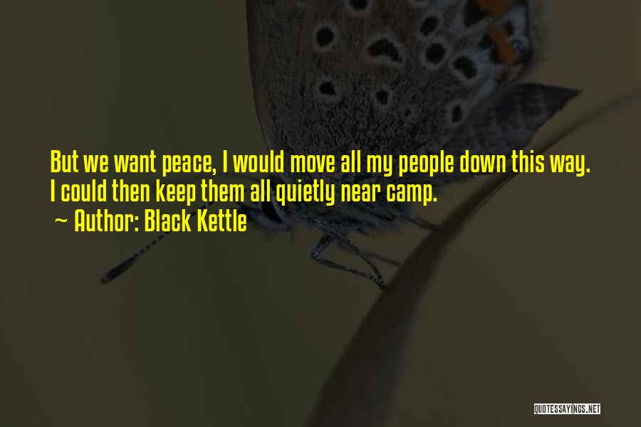 We All Want Peace Quotes By Black Kettle