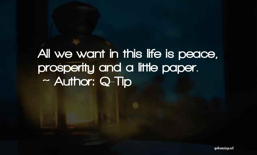 We All Want Peace Quotes By Q-Tip