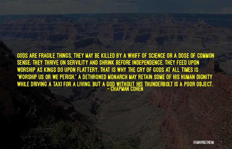 We All Worship Quotes By Chapman Cohen We All Worship Quotes By Chapman Cohen