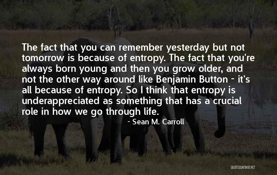 We Always Remember You Quotes By Sean M. Carroll We Always Remember You Quotes By Sean M. Carroll