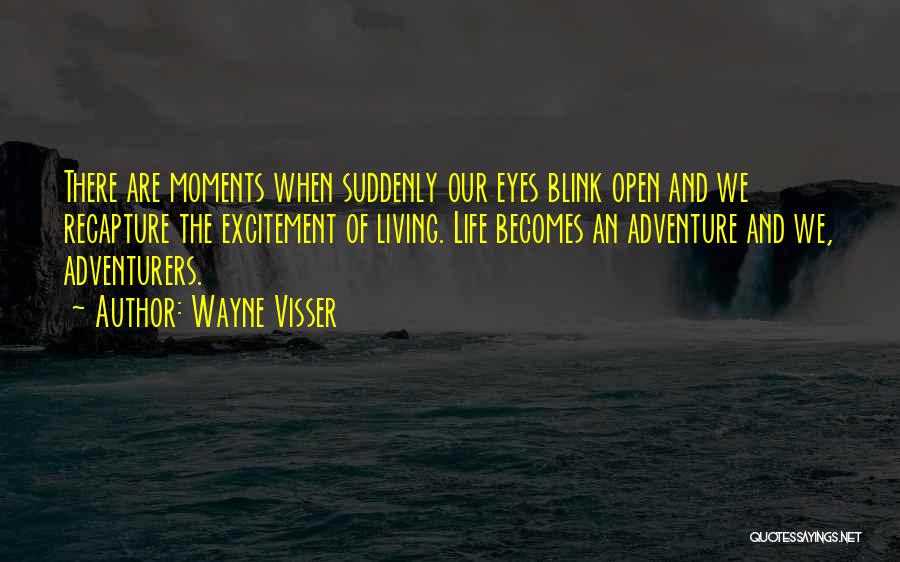 We Are Adventurers Quotes By Wayne Visser