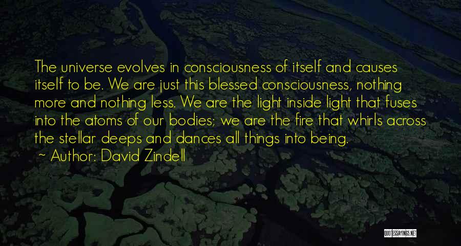 We Are All Blessed Quotes By David Zindell