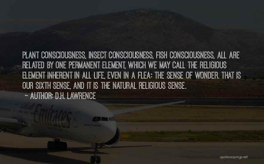 We Are All One Consciousness Quotes By D.H. Lawrence