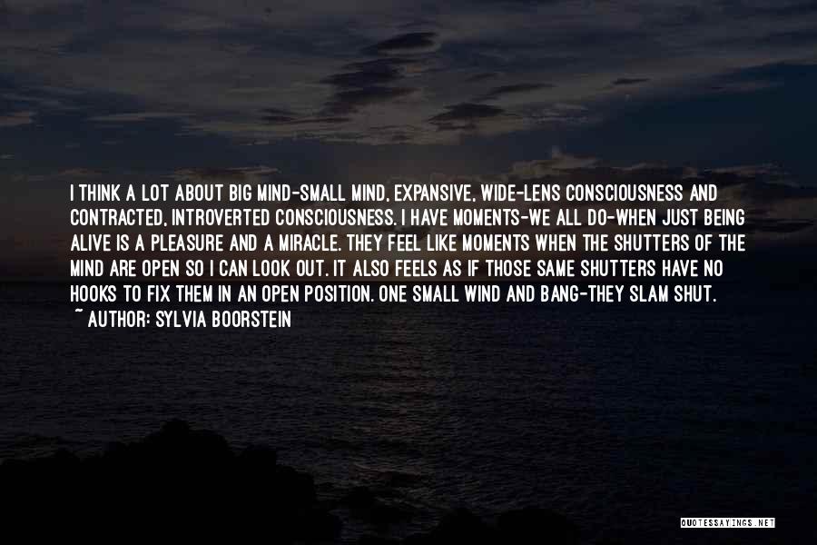 We Are All One Consciousness Quotes By Sylvia Boorstein