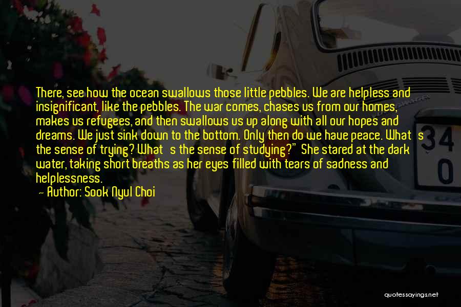 We Are All Refugees Quotes By Sook Nyul Choi