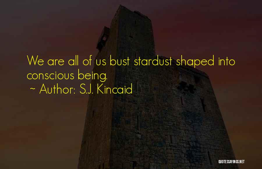 We Are All Star Quotes By S.J. Kincaid