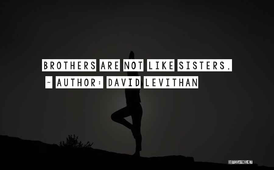 We Are Best Brothers Quotes By David Levithan