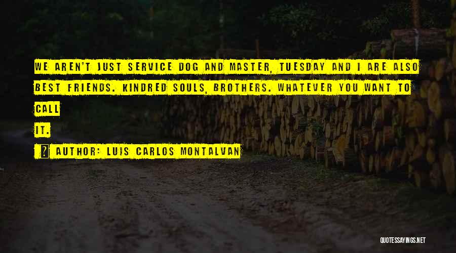 We Are Best Brothers Quotes By Luis Carlos Montalvan