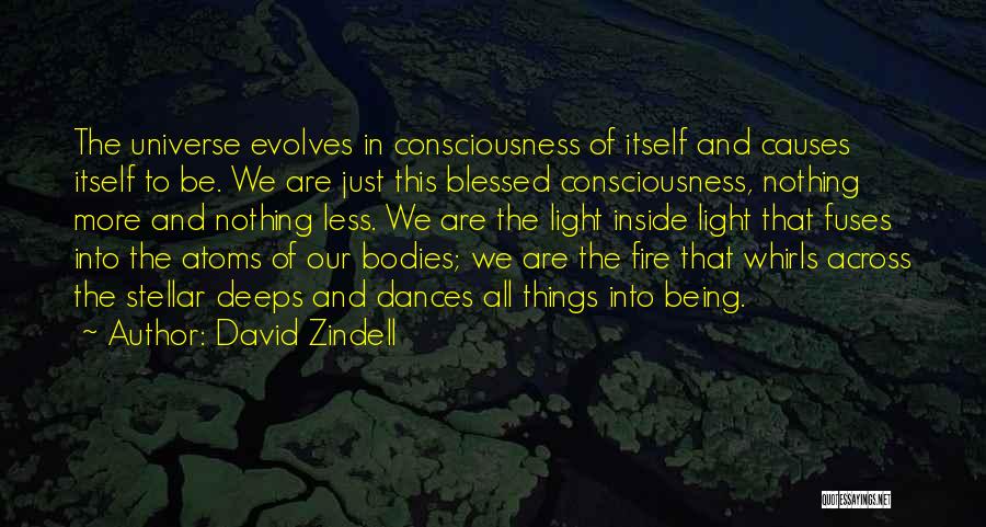 We Are Blessed Quotes By David Zindell