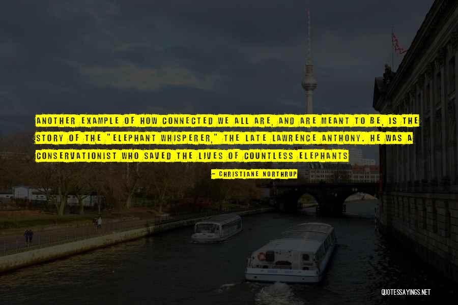 We Are Connected Quotes By Christiane Northrup We Are Connected Quotes By Christiane Northrup