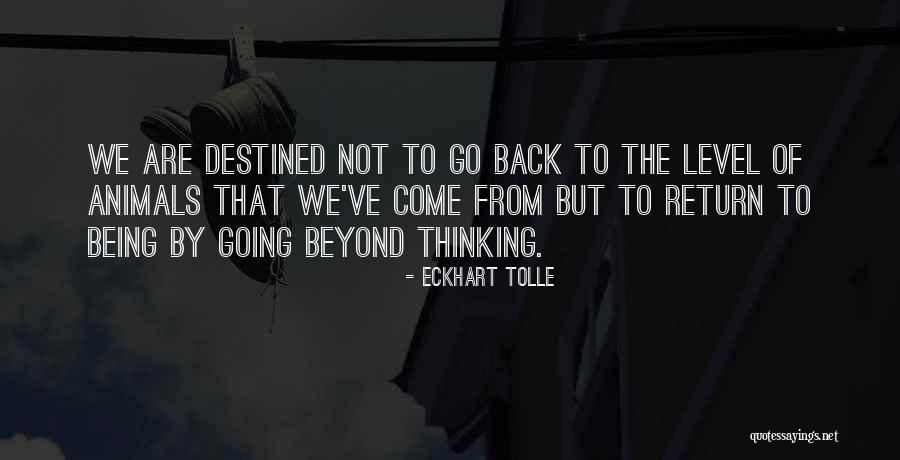 We Are Destined Quotes By Eckhart Tolle We Are Destined Quotes By Eckhart Tolle