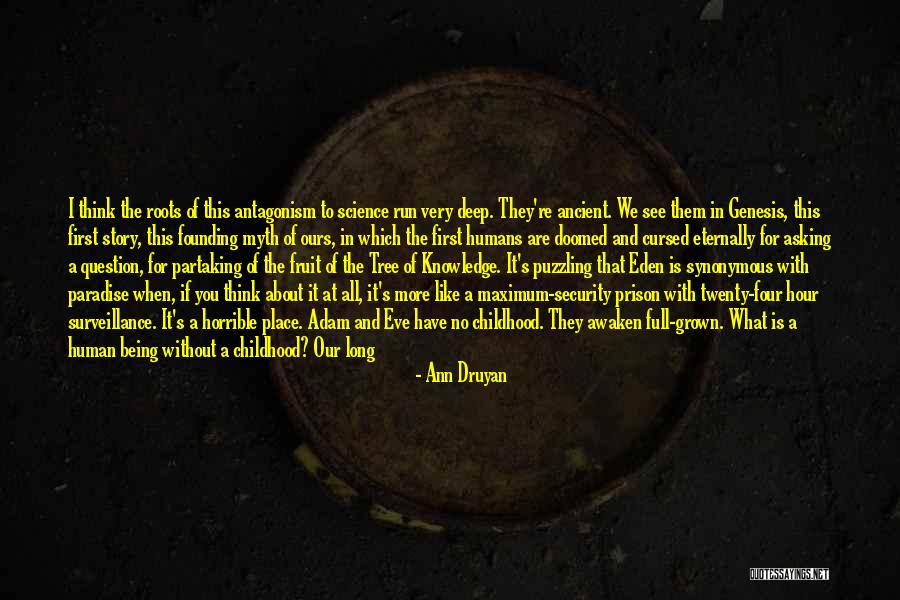 We Are Doomed Quotes By Ann Druyan