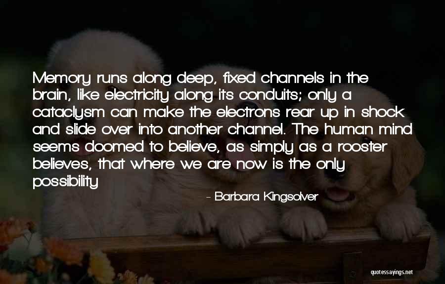 We Are Doomed Quotes By Barbara Kingsolver