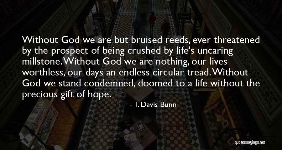We Are Doomed Quotes By T. Davis Bunn