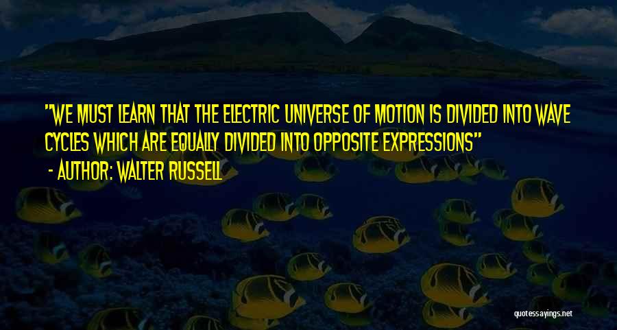 We Are Electric Quotes By Walter Russell