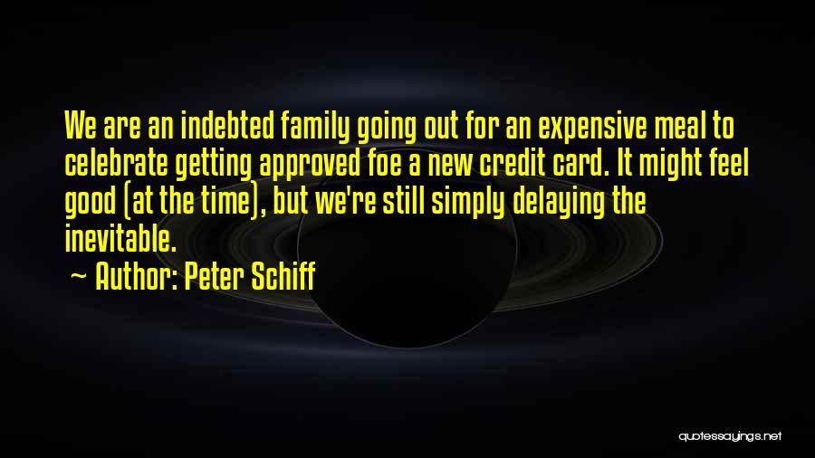 We Are Family Quotes By Peter Schiff